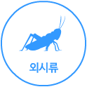곤충의 분류 - 외시류 아이콘